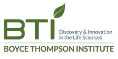 BTI